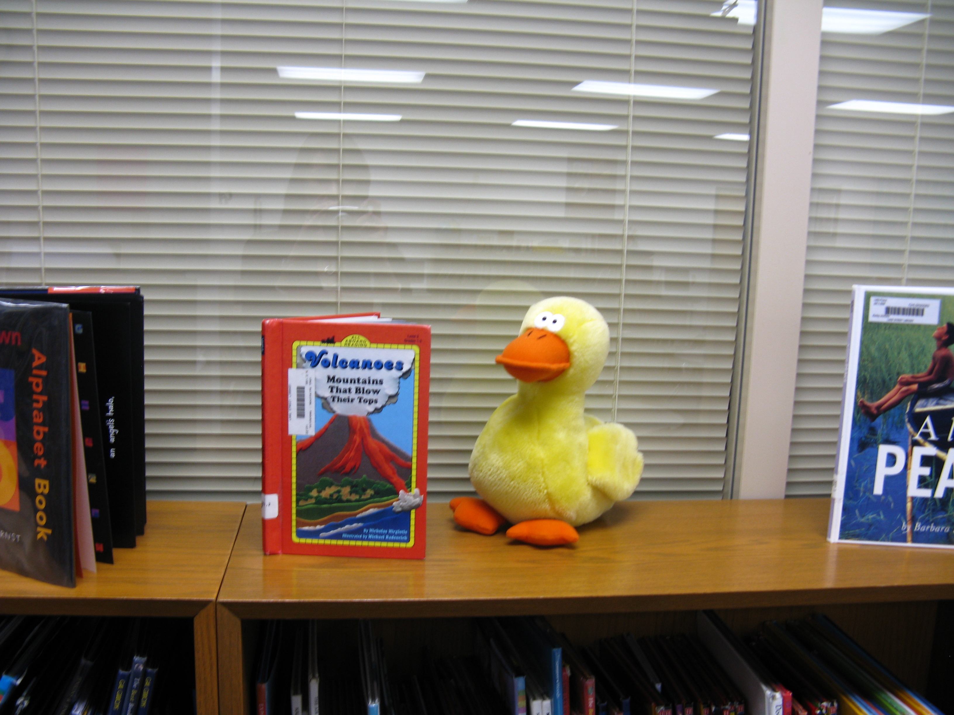 Library Media Center Chittenango School District